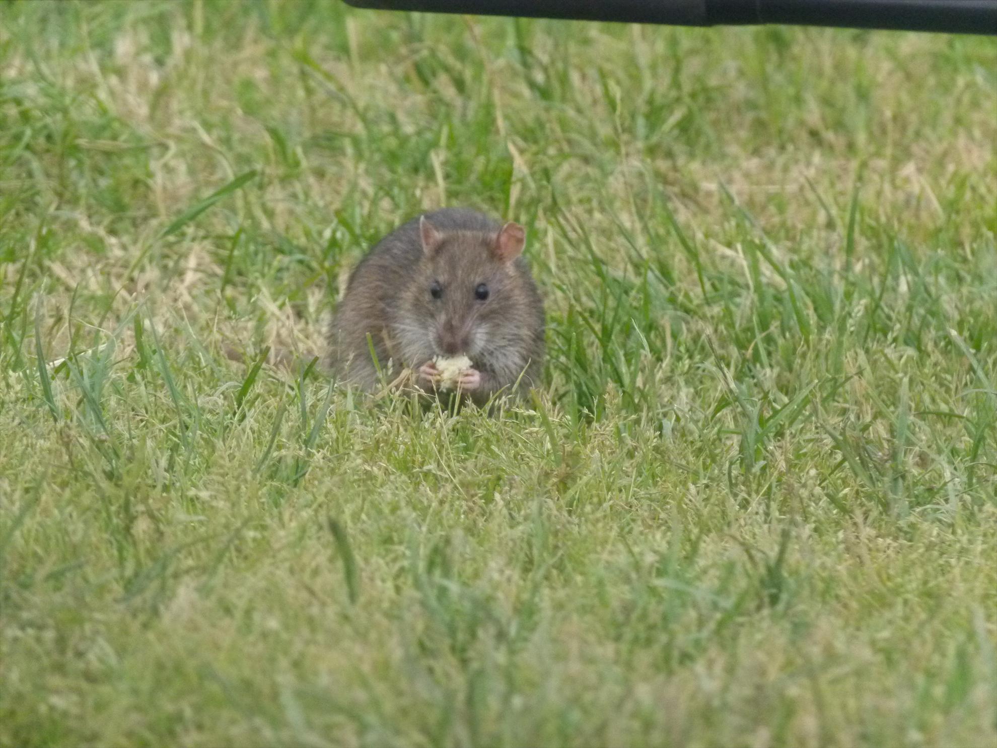 SALASCO 17 - 23 mai. - p1030485.JPG